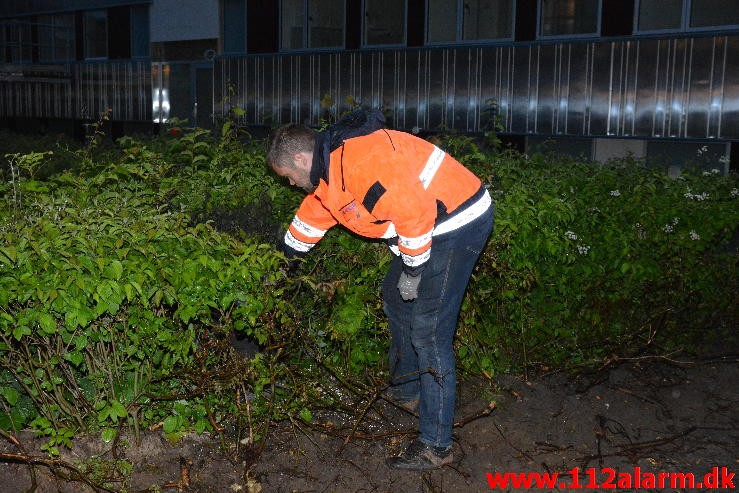 Ild i elskab. Løget Høj i Vejle. 28/06-2015. Kl. 21:43.