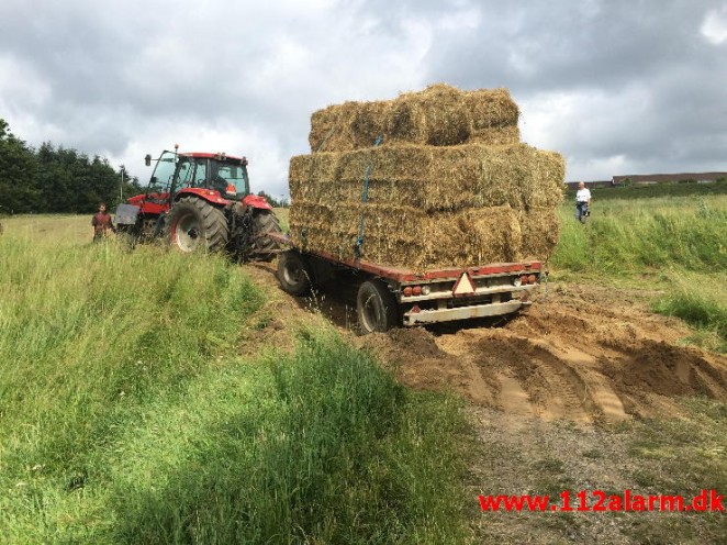 En lille Falck opgave. Grønnedalen i Vejle. 06/07-2015. Kl. 15:20.