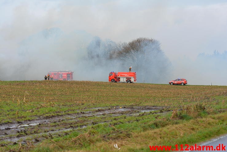 Gårdbrand. Vorkvej ved Egtved. 13/11-2015. Kl. 09:48.