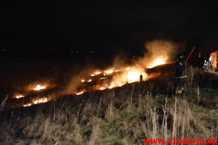 Mindre Naturbrand. Heisesvej i Vejle. 06/01-2016. Kl. 21:31.