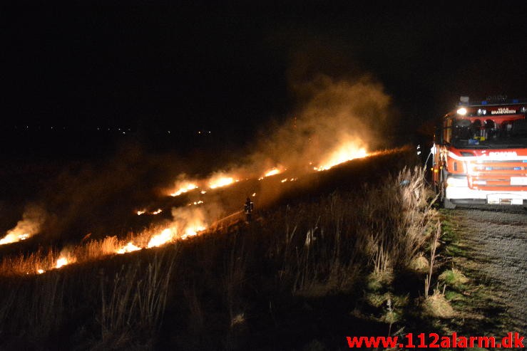 Mindre Naturbrand. Heisesvej i Vejle. 06/01-2016. Kl. 21:31.