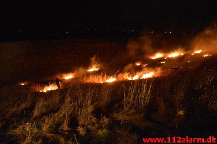 Mindre Naturbrand. Heisesvej i Vejle. 06/01-2016. Kl. 21:31.