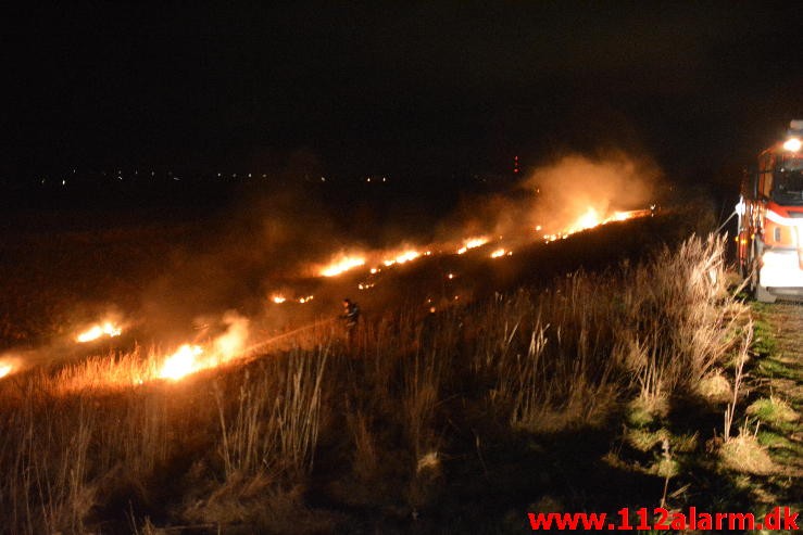 Mindre Naturbrand. Heisesvej i Vejle. 06/01-2016. Kl. 21:31.