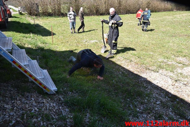 Dyreredning. I en lille å ved Knabberup. 22/04-2016. Kl. 12:00.