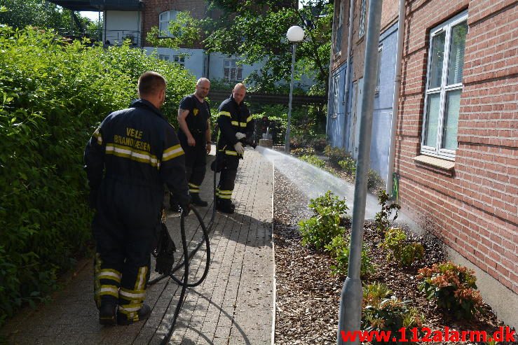 Mindre naturbrand. Enggade 9 i Vejle. 08/06-2016. Kl. 16:55.