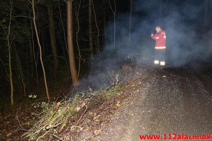 Skovbrand. Østengårdvej i Knabberup. 13/10-2016. Kl. 19:27.