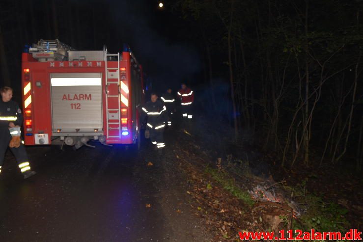 Skovbrand. Østengårdvej i Knabberup. 13/10-2016. Kl. 19:27.