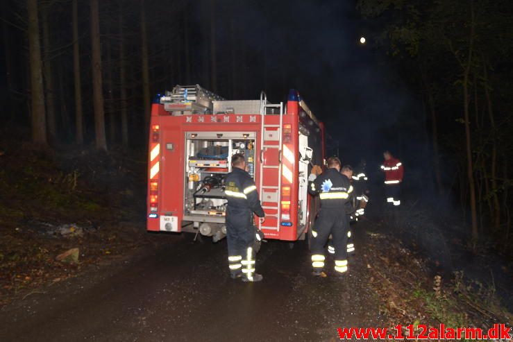 Skovbrand. Østengårdvej i Knabberup. 13/10-2016. Kl. 19:27.