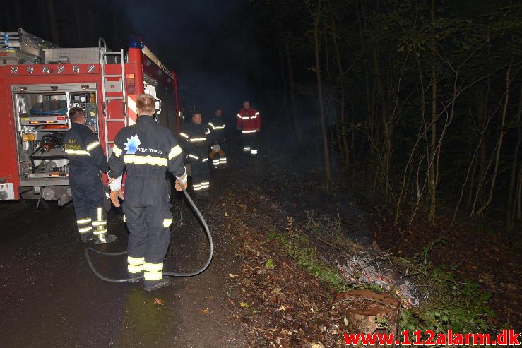 Skovbrand. Østengårdvej i Knabberup. 13/10-2016. Kl. 19:27.