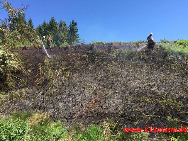 Naturbrand Skråning. Vorkvej ved Egtved. 17/05-2017. Kl. 12:17.