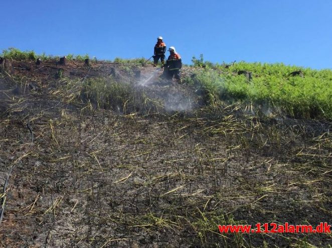 Naturbrand Skråning. Vorkvej ved Egtved. 17/05-2017. Kl. 12:17.