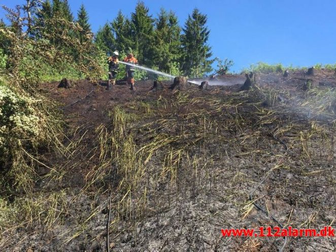 Naturbrand Skråning. Vorkvej ved Egtved. 17/05-2017. Kl. 12:17.