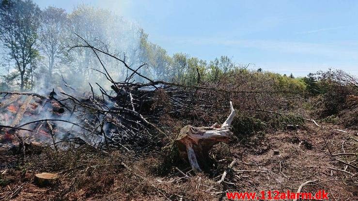 Naturbrand. Mosevej ved Vejen. 22/05-2017. Kl. 10:58.