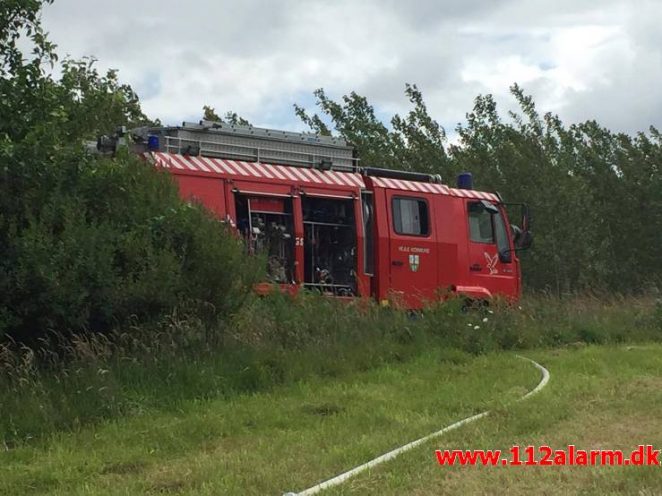 Bilbrand. Roedsvej ved Bølling. 26/06-2017. Kl. 13:11.