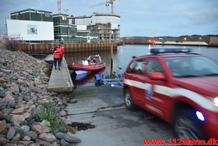 Hund faldet i havnebassinet. Vejle Havn. 28/07-2017. Kl. 21:49.