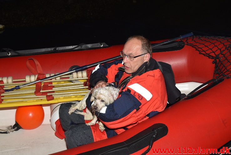 Hund faldet i havnebassinet. Vejle Havn. 28/07-2017. Kl. 21:49.