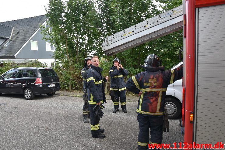 Kunne ikke selv komme ned igen. Gl. Jellingvej i Vejle. 24/08-2017. Kl. 16:42.