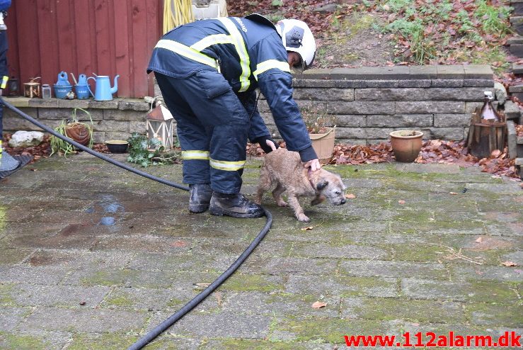 Brand i kolonihavehus. Lohsevej i Vejle. 12/01-2018. Kl. 11:50.