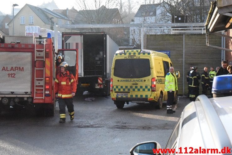 FUH-Fastklemt. Silvan på Damhaven i Vejle. 08/02-2018. Kl. 10:08.