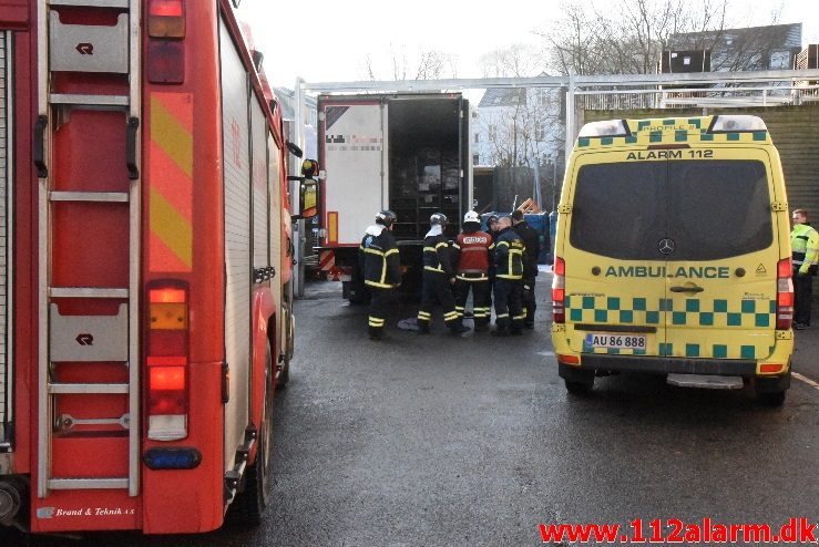 FUH-Fastklemt. Silvan på Damhaven i Vejle. 08/02-2018. Kl. 10:08.