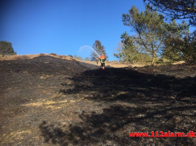 Naturbrand / hede / klit. Bindeballevej i Randbøl. 20/03-2018. Kl.14:58.