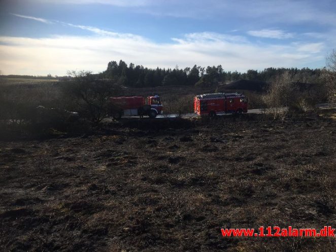 Naturbrand / hede / klit. Bindeballevej i Randbøl. 20/03-2018. Kl.14:58.