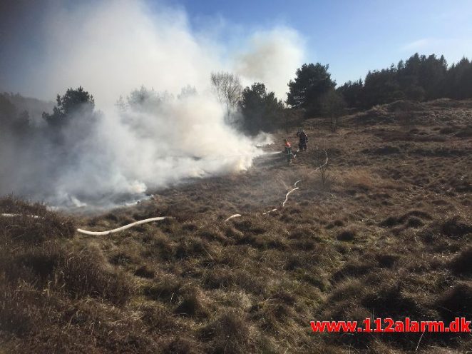 Naturbrand / hede / klit. Bindeballevej i Randbøl. 20/03-2018. Kl.14:58.