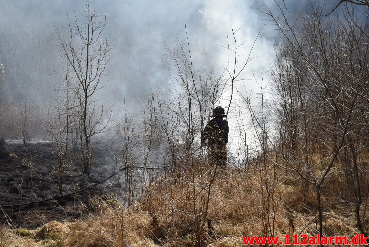 Naturbrand / Mark. Buldalen ved knabberup. 20/03-2018. Kl. 14:09.