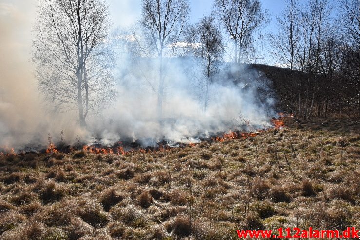 Naturbrand / Mark. Buldalen ved knabberup. 20/03-2018. Kl. 14:09.