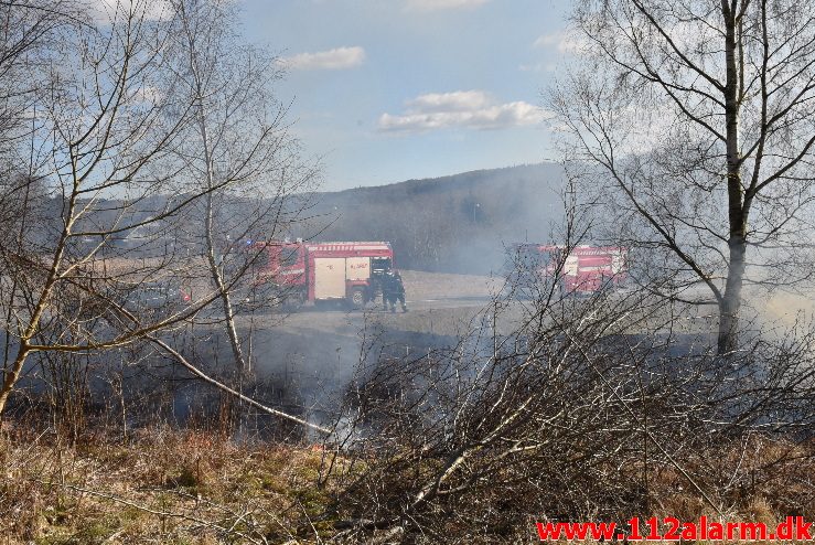 Naturbrand / Mark. Buldalen ved knabberup. 20/03-2018. Kl. 14:09.