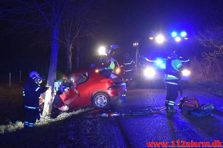 Ramte et træ med voldsom kraft. Højgårdvej ved Holtum. 04/04-2018. Kl. 21:33.