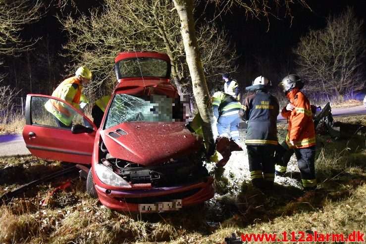 Ramte et træ med voldsom kraft. Højgårdvej ved Holtum. 04/04-2018. Kl. 21:33.