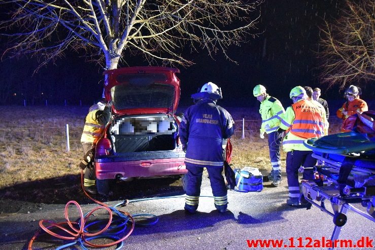 Ramte et træ med voldsom kraft. Højgårdvej ved Holtum. 04/04-2018. Kl. 21:33.