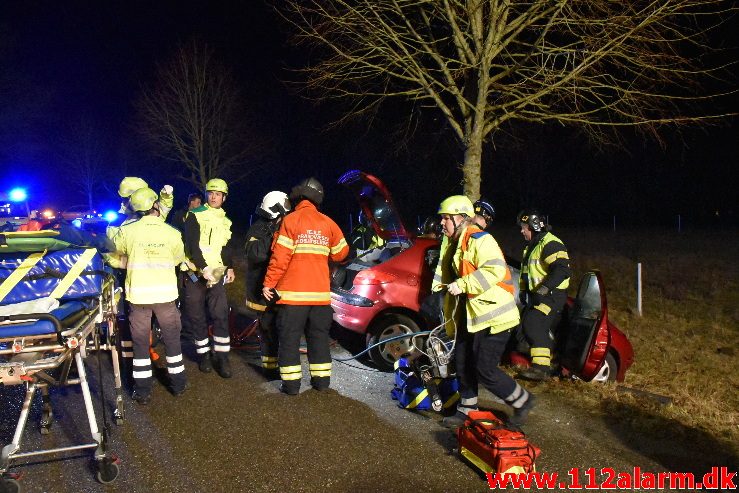 Ramte et træ med voldsom kraft. Højgårdvej ved Holtum. 04/04-2018. Kl. 21:33.