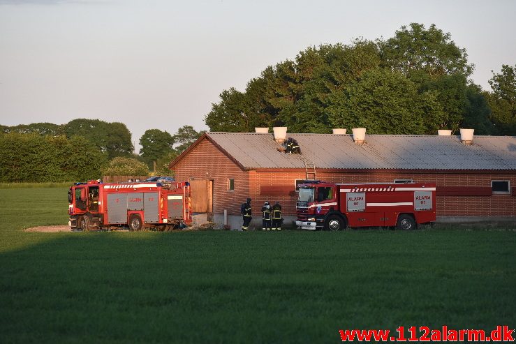 Gårdbrand m/Dyr. Overgårdsvej i Vejle Ø. 22/05-2018. Kl. 20:37.