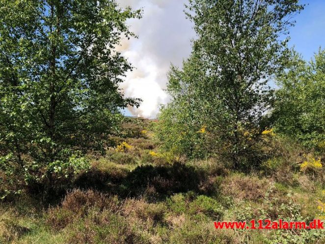 Større hedebrand. Randbøl. 25/05-2018. Kl. 11:28.