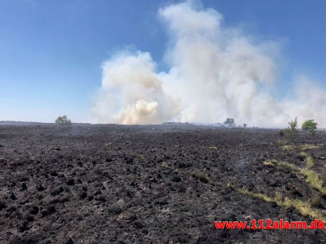 Større hedebrand. Randbøl. 25/05-2018. Kl. 11:28.