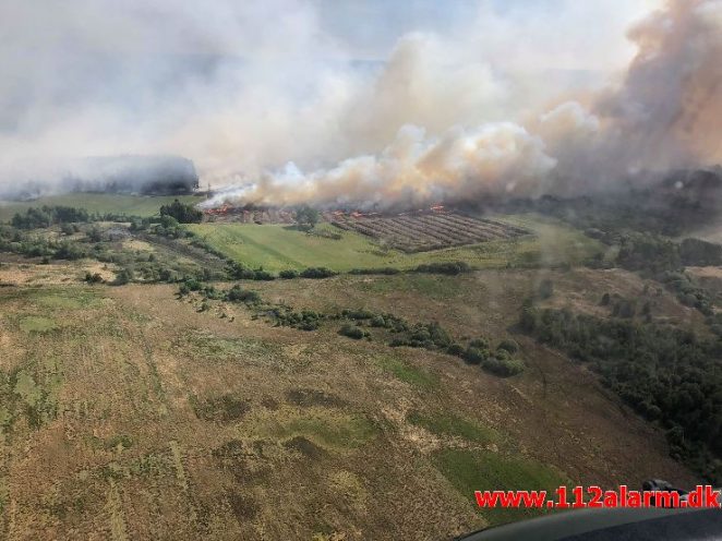 Større hedebrand. Randbøl. 25/05-2018. Kl. 11:28.