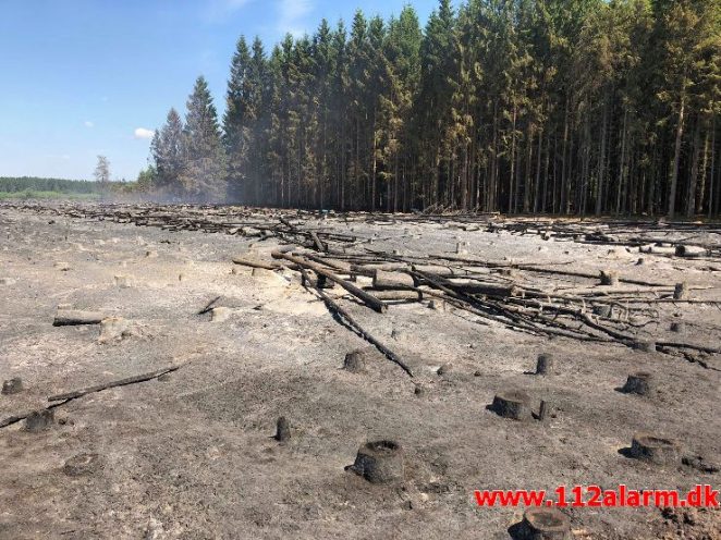 Større hedebrand. Randbøl. 25/05-2018. Kl. 11:28.