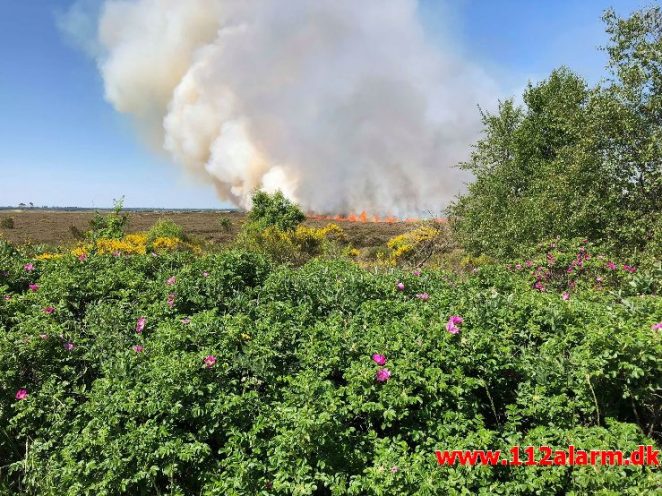 Større hedebrand. Randbøl. 25/05-2018. Kl. 11:28.