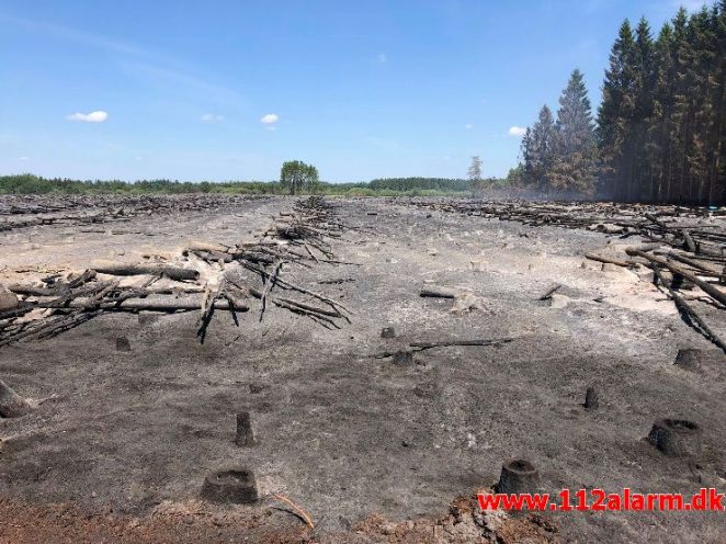 Større hedebrand. Randbøl. 25/05-2018. Kl. 11:28.