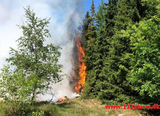 Større hedebrand. Randbøl. 25/05-2018. Kl. 11:28.