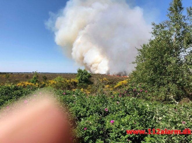 Større hedebrand. Randbøl. 25/05-2018. Kl. 11:28.