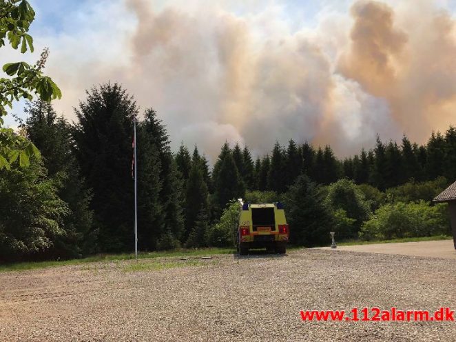 Større hedebrand. Randbøl. 25/05-2018. Kl. 11:28.