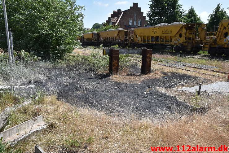 Mindre naturbrand. Gammelhavn i Vejle. 04/06-2018. Kl. 13:44.