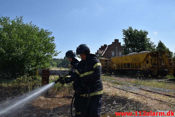 Mindre naturbrand. Gammelhavn i Vejle. 04/06-2018. Kl. 13:44.