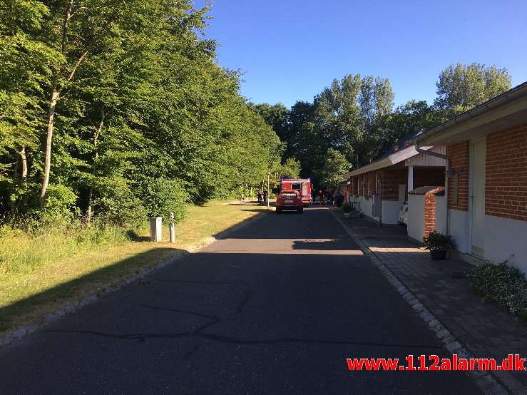 Skovbrand. Lindestræde i Vejle. 07/06-2018. Kl. 18:13.