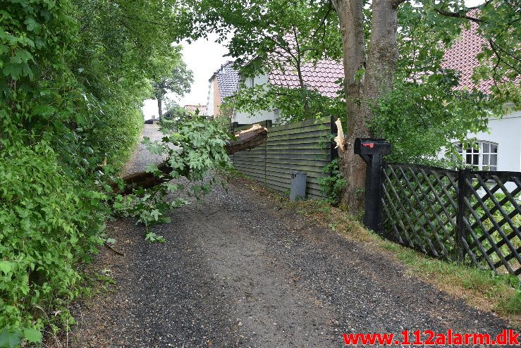 Træ væltet ned over sporet. Ved Bredballe. 14/06-2018. KL. 17:00.