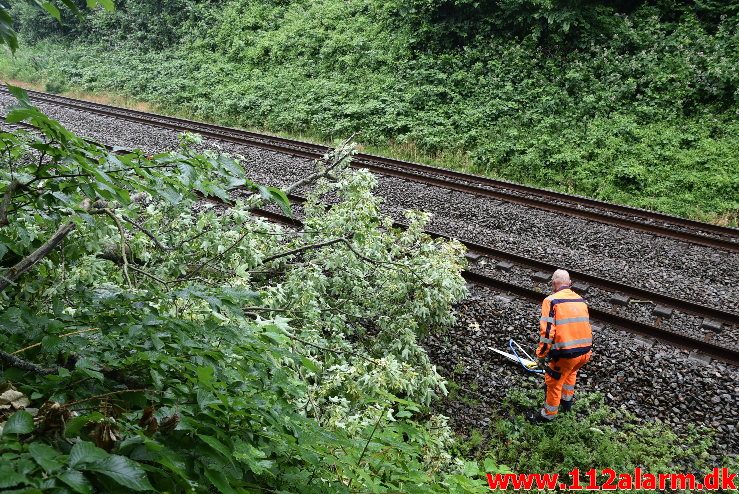 Træ væltet ned over sporet. Ved Bredballe. 14/06-2018. KL. 17:00.