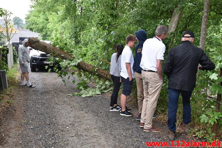 Træ væltet ned over sporet. Ved Bredballe. 14/06-2018. KL. 17:00.